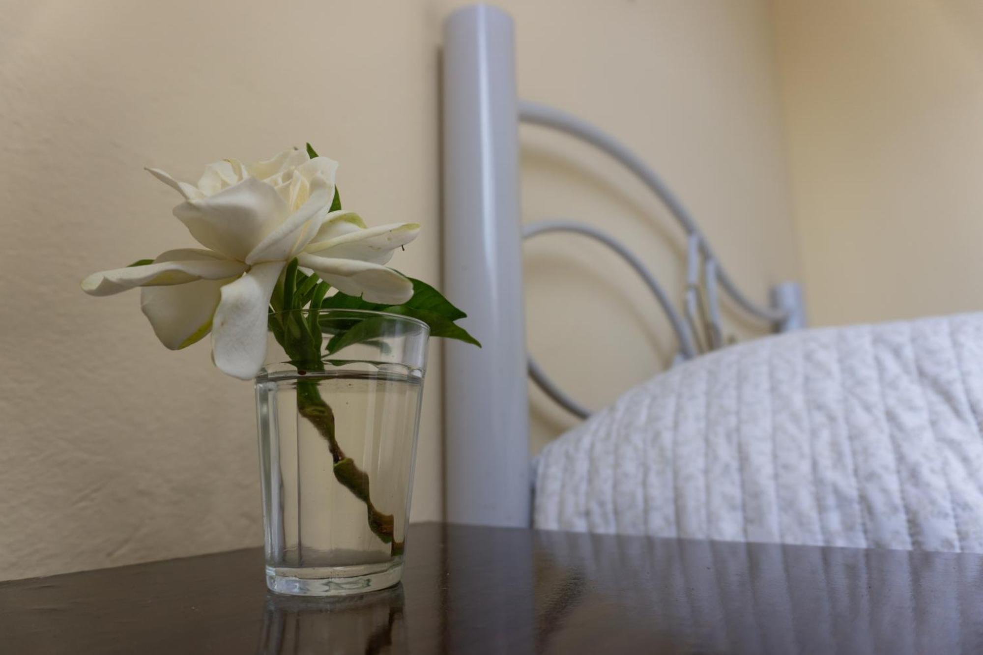 Mi Casa Es Tu Casa Apartment Мело Екстериор снимка